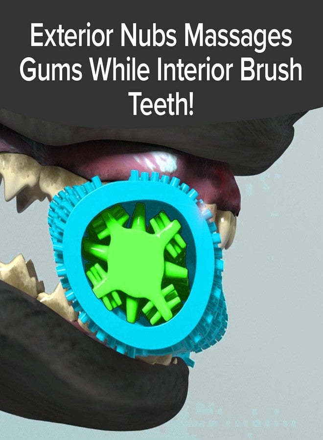 BulbHead BrushBone As Seen On TV Doggy Toothbrush Chew Toy, Plaque & Tartar Remover, Works 3 Ways to Clean While They Play, Invented by a Dentist, Add Peanut Butter or Cheese, Brush Bone - Image 5